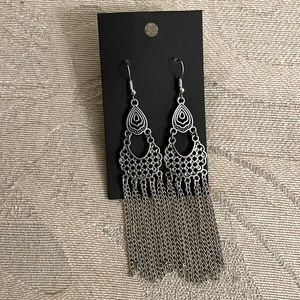 Paparazzi Insane Chain Earrings Silver